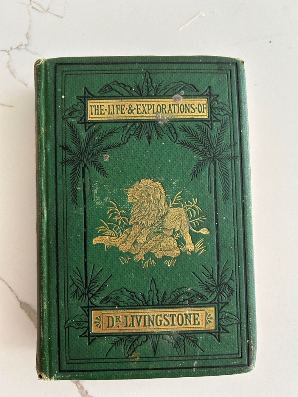 Green Decorative Book Cover - The Life & Explorations of Dr Livingstone